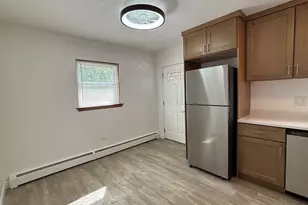 16 2nd St, Downers Grove, IL 60515 - Photo 19