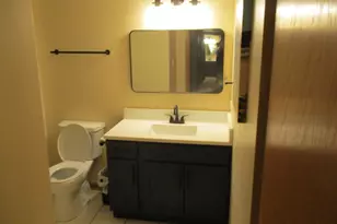 12902 W 159th St, Homer Glen, IL 60491 - Photo 3