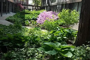 1044 Ontario St, Oak Park, IL 60302 - Photo 15