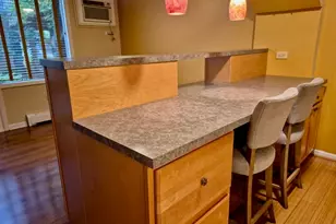 1044 Ontario St, Oak Park, IL 60302 - Photo 9