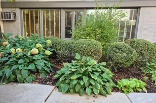1044 Ontario St, Oak Park, IL 60302 - Photo 3