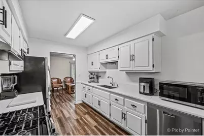 125 W Middle Street, South Elgin, IL 60177 - Photo 3