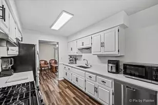 125 W Middle St, South Elgin, IL 60177 - Photo 3