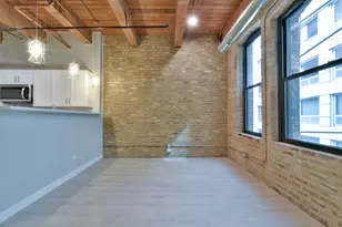 11 E Illinois St, Chicago, IL 60611 - Photo 5