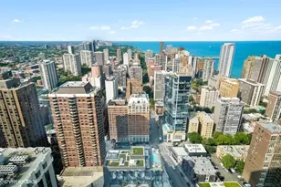 1030 N State St, Chicago, IL 60610 - Photo 9