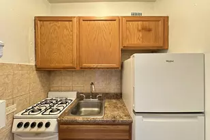 434 W Wellington Ave, Chicago, IL 60657 - Photo 3