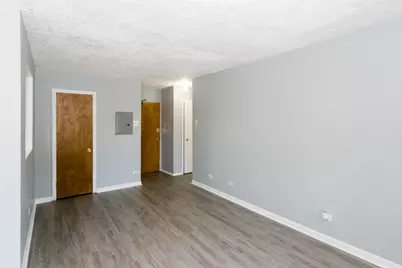 7333 N Ridge Boulevard #105, Chicago, IL 60645 - Photo 15