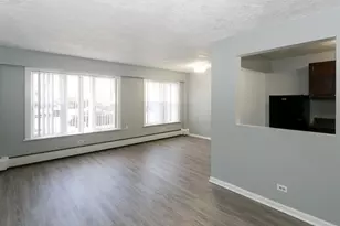 7333 N Ridge Blvd, Chicago, IL 60645 - Photo 11