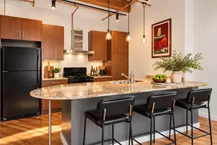 1040 W Adams St, Chicago, IL 60607 - Photo 5