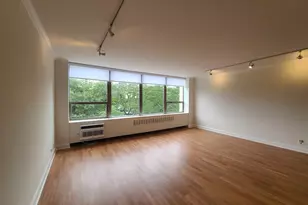 1360 N Sandburg Terrace, Chicago, IL 60610 - Photo 3