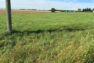 3583 S Paw Paw Rd, Paw Paw, IL 61353 - Photo 1