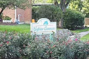 262 W Golfview Terrace, Palatine, IL 60067 - Photo 19