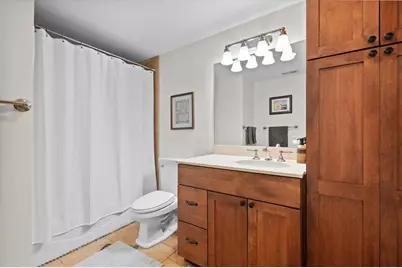 1119 Oak Avenue, Evanston, IL 60202 - Photo 51