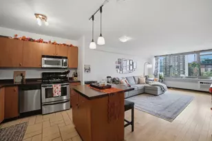 555 W Cornelia Ave, Chicago, IL 60657 - Photo 5