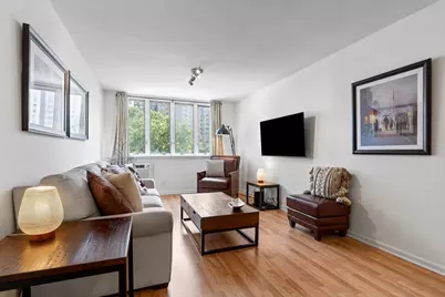 1419 N State Parkway #603, Chicago, IL 60610 - Photo 9