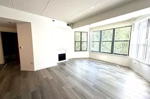 1250 S Indiana Ave, Chicago, IL 60605 - Photo 3