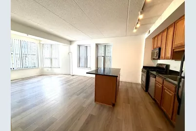 1250 S Indiana Avenue #308, Chicago, IL 60605 - Photo 5