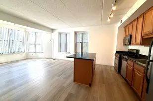 1250 S Indiana Ave, Chicago, IL 60605 - Photo 5