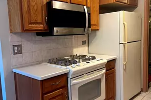 203 Emerson Ct, Bloomingdale, IL 60108 - Photo 7