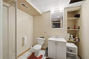 9727 S Meryton Ct, Palos Hills, IL 60465 - Photo 45