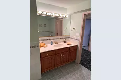 8821 Bluebird Drive, Tinley Park, IL 60487 - Photo 27