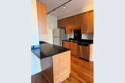 1250 S Indiana Avenue #1303, Chicago, IL 60605 - Photo 7