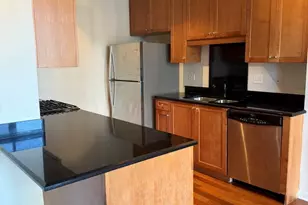 1250 S Indiana Ave, Chicago, IL 60605 - Photo 7