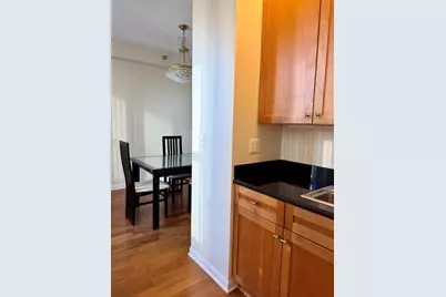 1250 S Indiana Avenue #1303, Chicago, IL 60605 - Photo 11