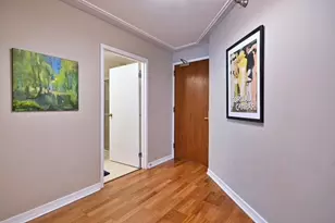 401 E Ontario St, Chicago, IL 60611 - Photo 9