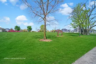 12504 S Cherry Blossom Blvd, Plainfield, IL 60585 - Photo 39