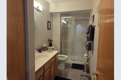 18424 Millennium Drive #18424, Tinley Park, IL 60477 - Photo 15