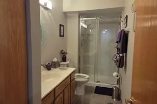 18424 Millennium Dr, Tinley Park, IL 60477 - Photo 15