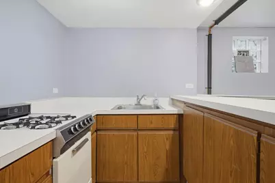 2813 S Shields Avenue, Chicago, IL 60616 - Photo 29