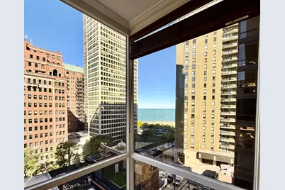 100 E Bellevue Street #10F, Chicago, IL 60611 - Photo 3