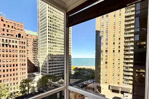 100 E Bellevue St, Chicago, IL 60611 - Photo 3