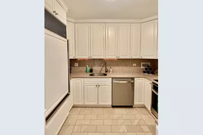 100 E Bellevue Street #10F, Chicago, IL 60611 - Photo 11