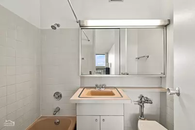 900 N Lake Shore Drive #1011, Chicago, IL 60611 - Photo 7