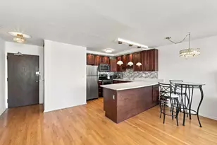 1460 N Sandburg Terrace, Chicago, IL 60610 - Photo 9
