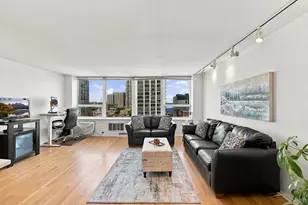 1460 N Sandburg Terrace, Chicago, IL 60610 - Photo 5