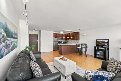 1460 N Sandburg Terrace #1110, Chicago, IL 60610 - Photo 13