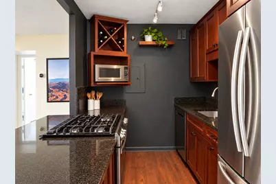 1309 N Wells Avenue #501, Chicago, IL 60610 - Photo 3