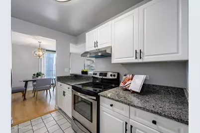 70 W Huron Street #1602, Chicago, IL 60654 - Photo 9