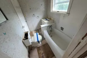 103 S Chicago Ave, Ladd, IL 61329 - Photo 9
