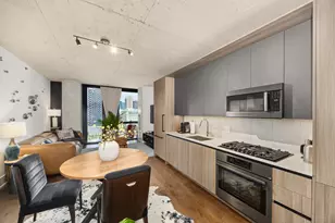 234 W Polk St, Chicago, IL 60607 - Photo 9