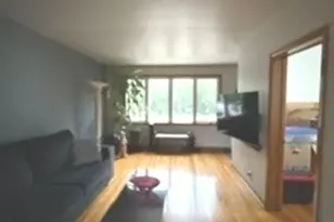 9959 S Escanaba Ave, Chicago, IL 60617 - Photo 3