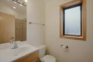 2911 S Farrell St, Chicago, IL 60608 - Photo 13