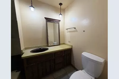 58 E 164th Street, South Holland, IL 60473 - Photo 11