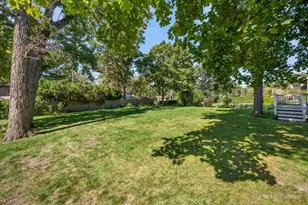 6N110 Medinah Rd, Medinah, IL 60157 - Photo 49