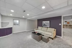 936 Doral Dr, Bartlett, IL 60103 - Photo 53