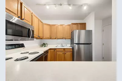 101 E Cossitt Avenue #102, La Grange, IL 60525 - Photo 13